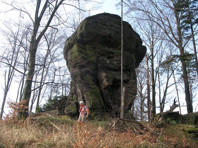 dunkelsteinerwald